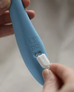 Penny><noscript><img width=