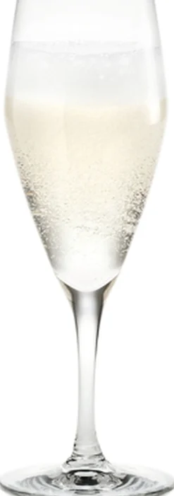 Holmegaard Perfection Champagneglas klar 23 cl 6 stk. Best