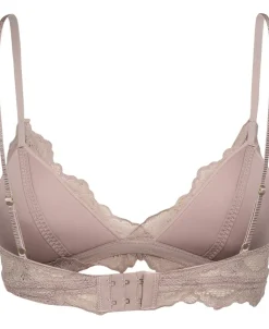 Petal 1. 2><noscript><img width=