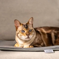 Beurer PetCare PP 210 Lilli Varmemåtte til kæledyr 41x34 cm Best