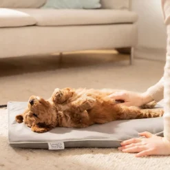 Beurer PetCare PP 210 Lilli Varmemåtte til kæledyr 41x34 cm Best