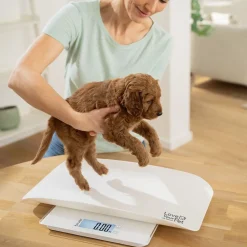 Beurer PetCare PP 170 Polly Multifunktionsvægt til kæledyr Clearance