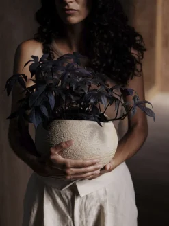 Plantas Planter, H 26, Ivory><noscript><img width=