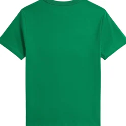 Polo Ralph Lauren Polo Bear Cotton Jersey Tee Cr25 bear cruise green Online