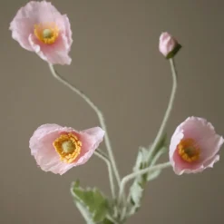 Poppy Flower>Botané Best