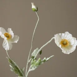 Botané Poppy Flower Hot