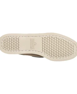 Portland Flesh Out W><noscript><img width=