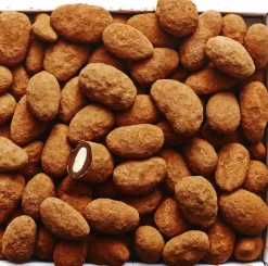 Summerbird Praliné Cocoa Outlet