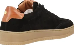 PRIME PULSE SS><noscript><img width=