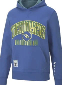 Puma X The Hundreds hættetrøje Blå Best