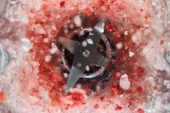 Pure power blender><noscript><img width=