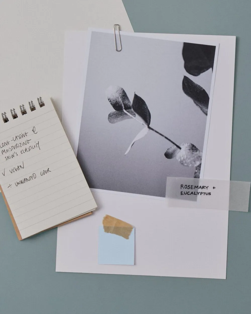 Bodyologist Pure Protection AHA Roll-on Deodorant Hot