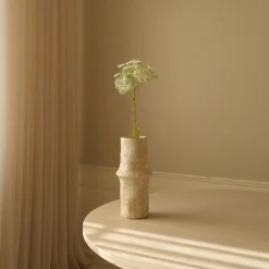 Botané Queen Anne's Lace Flower Sale