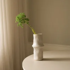 Botané Queen Anne's Lace Flower