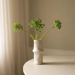 Botané Queen Anne's Lace Flower