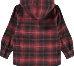 Rizz><noscript><img width=