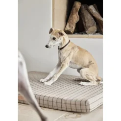 Robin Hundehalsbånd - Lille><noscript><img width=