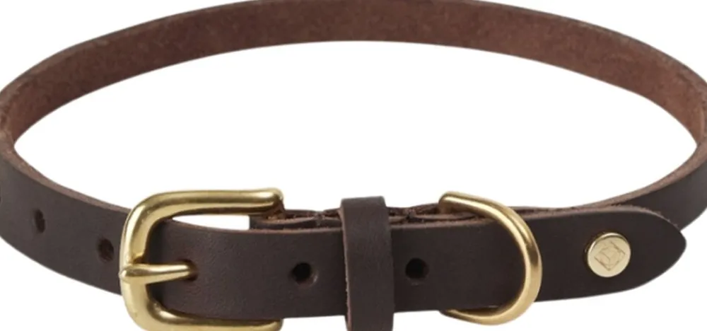 Robin Hundehalsbånd - Medium>OYOY Living Design Clearance