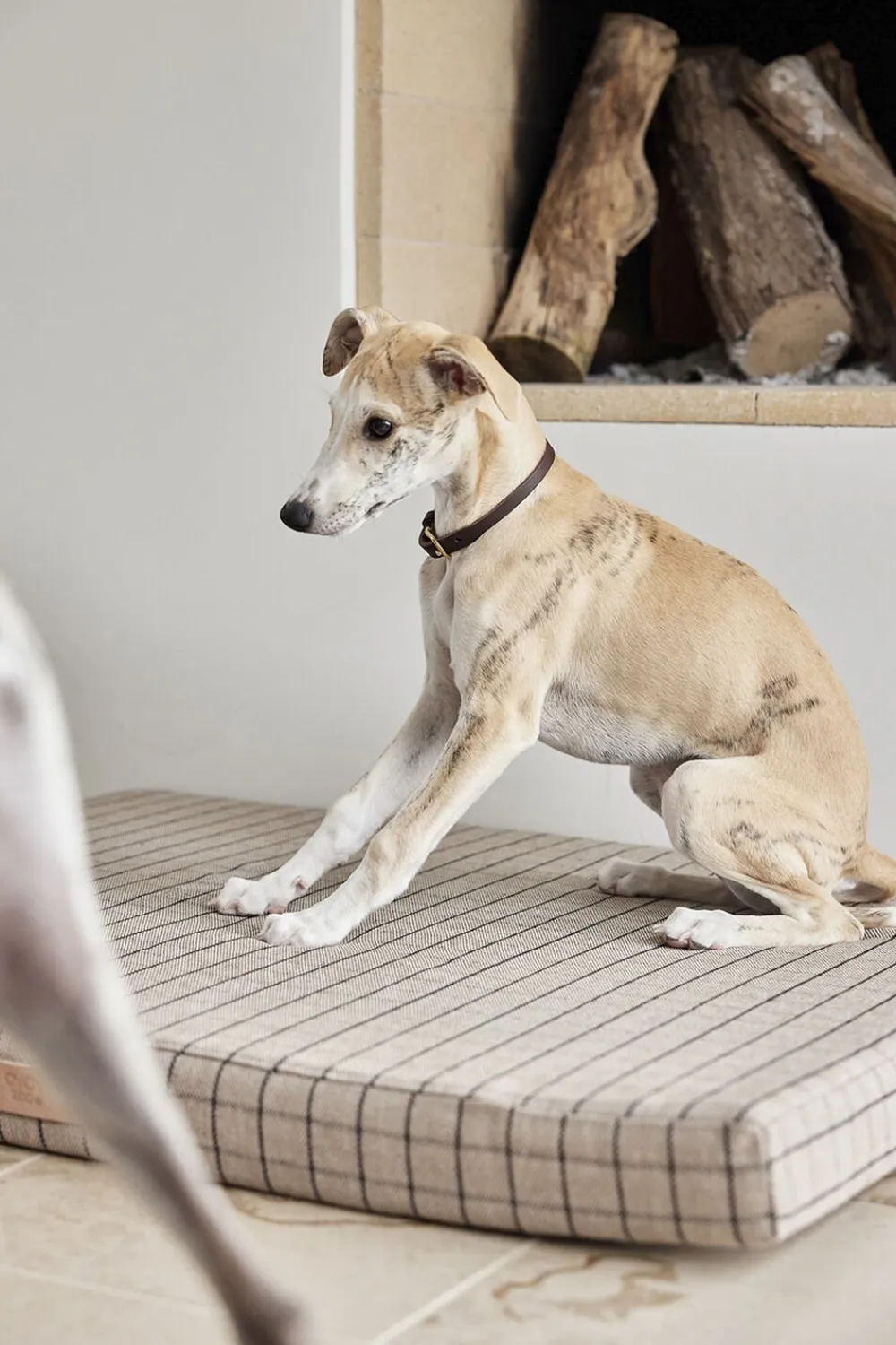 Robin Hundehalsbånd - Stor>OYOY Living Design Outlet