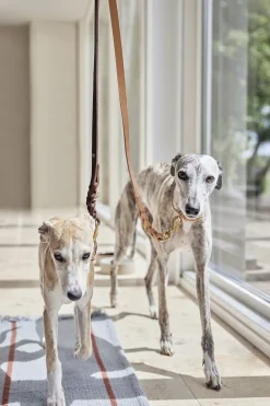 Robin Hundesnor - M/L>OYOY Living Design Outlet