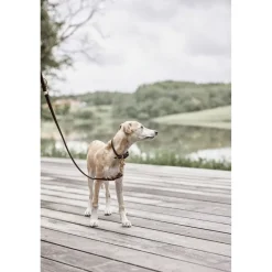 OYOY Living Design Robin Hundesnor - M/L