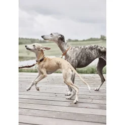 OYOY Living Design Robin Hundesnor - M/L