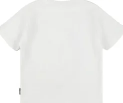 Rodney><noscript><img width=