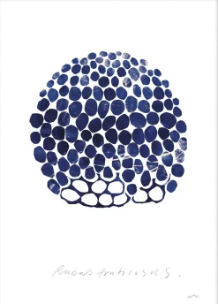 Poster & Frame Rubus Blå & brun New