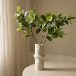 Botané Ruscus Leaves