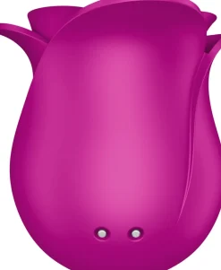 Pro 2 Modern Blossom><noscript><img width=