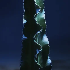 Sauvage The Toner Face Toner Lotion with Cactus Extract><noscript><img width=