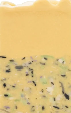 Badeanstalten Sæbe Morgensang