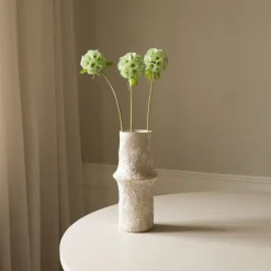 Scabiosa Seed Pod Flower><noscript><img width=