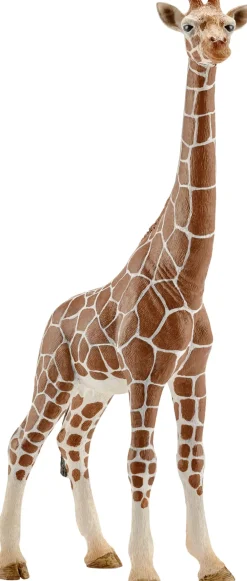 Sch Giraffe Female>Schleich Discount
