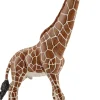 Sch Giraffe male>Schleich Online