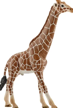 Sch Giraffe male>Schleich Online