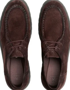 Lloyd SELECT 112 Brown Clearance