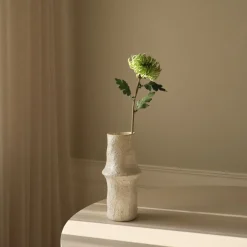 Botané Semi-Cactus Dahlia Flower New