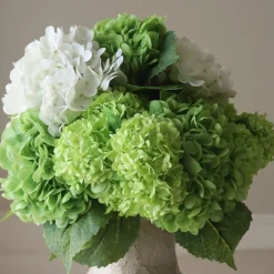 Botané Shades of Green