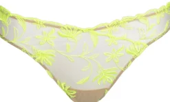 Shay rio-trusser><noscript><img width=