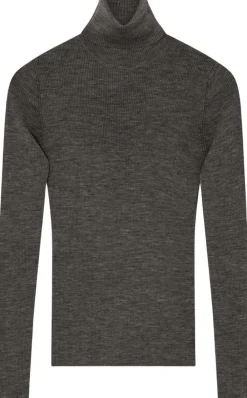 Sierra - Daily Elements><noscript><img width=