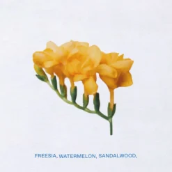 Sikinos Eau De Toilette><noscript><img width=