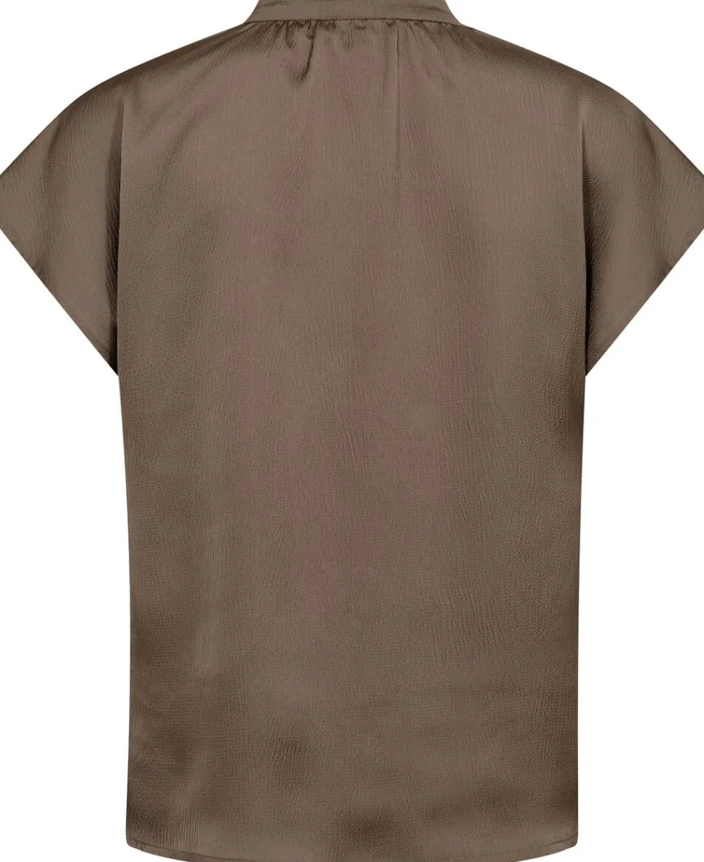 Soaked in Luxury SLParis Top Walnut Sale