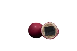 Lakrids by Bülow SMALL CRISPY RASPBERRY