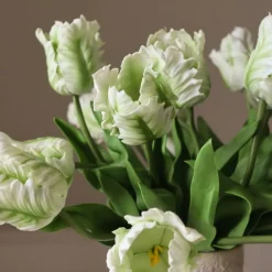 Botané Small Parrot Tulip Flower