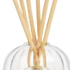 Diptyque Small reed diffuser glass container 100 ml Best