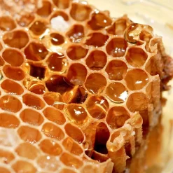 Single Flowers Perfume Solid parfume - Beeswax No. 11 New