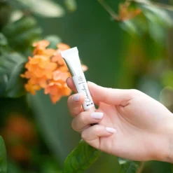 Solid parfume - Osmanthus No. 30><noscript><img width=