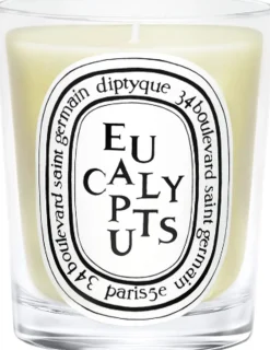 Standard candle Eucalyptus>Diptyque Online