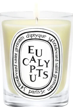 Standard candle Eucalyptus>Diptyque Online